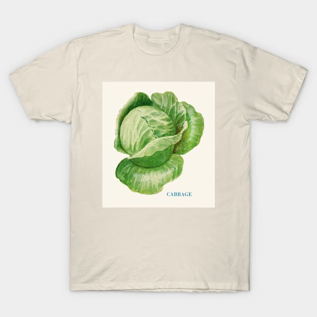 Illustration of Cabbage (1915) T-Shirt by WAITE-SMITH VINTAGE ART